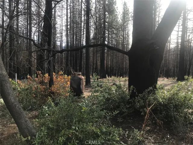 3815 Windemere Lane, Concow, California 95965