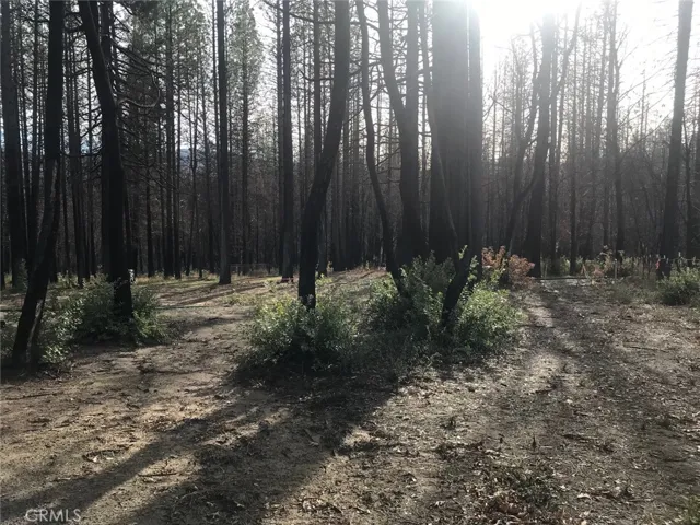 3815 Windemere Lane, Concow, California 95965