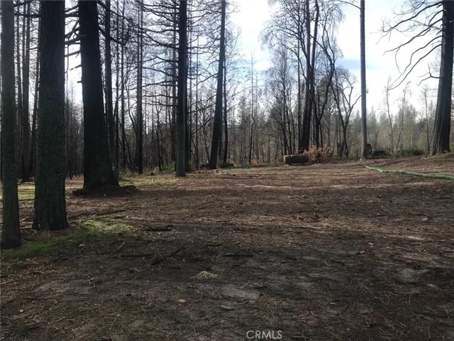 3815 Windemere Lane, Concow, California 95965