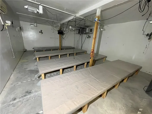 Grow Room 2