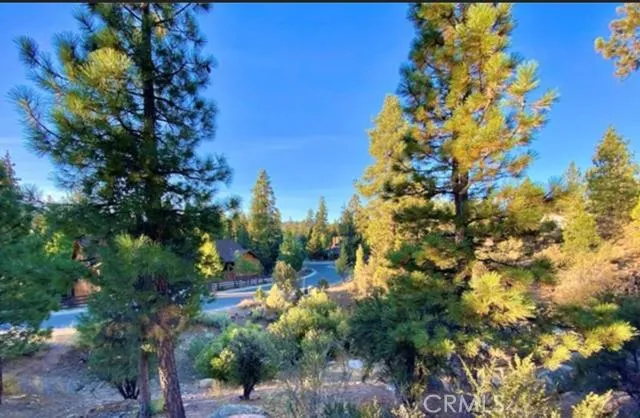 272 Stony Creek Road, Big Bear, California 92315