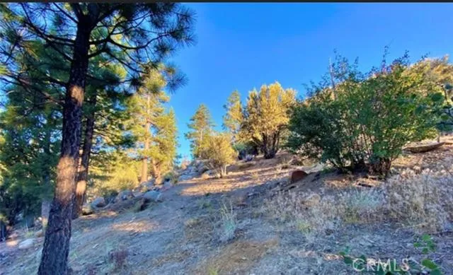 272 Stony Creek Road, Big Bear, California 92315