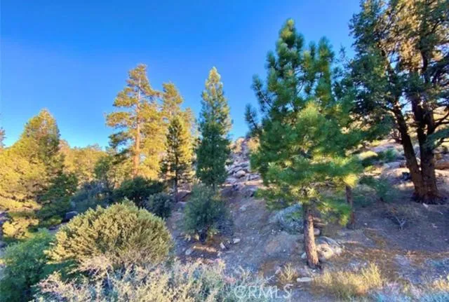 272 Stony Creek Road, Big Bear, California 92315
