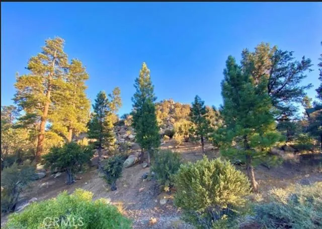 272 Stony Creek Road, Big Bear, California 92315