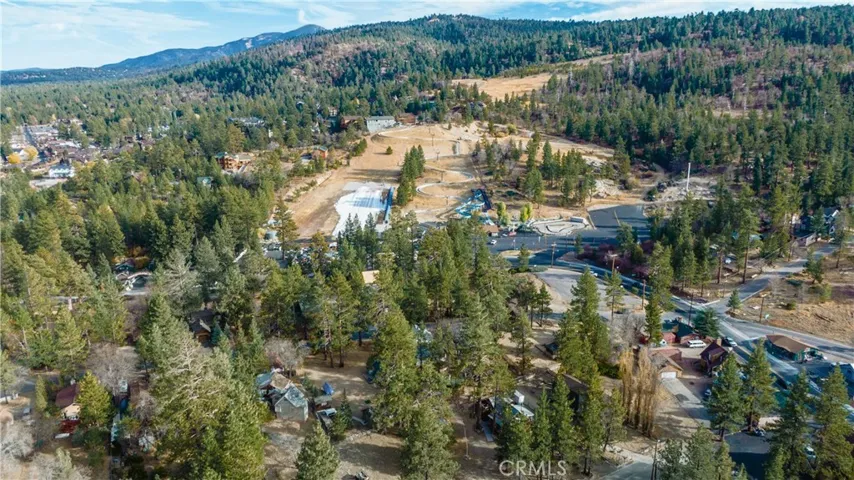 725 Temple Lane, Big Bear, California 92315