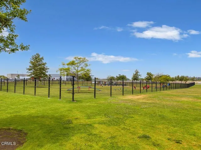Large Dog Park