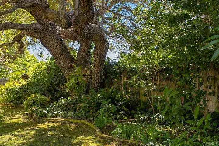 1738 Red Barn Road, Encinitas, California 92024