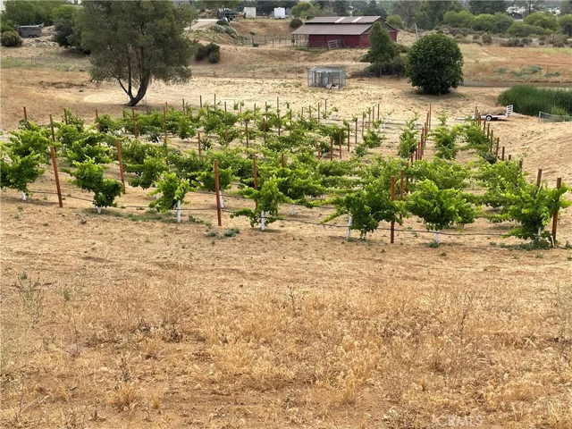 37845 Golden Valley Lane, Cherry Valley, California 92223