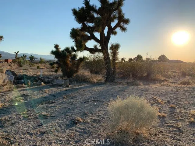 1 Desert View Road, Pinon Hills, California 92372