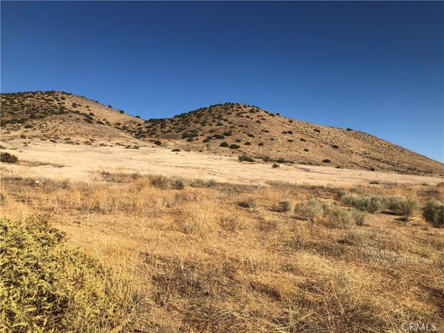 0 Vacant, Acton, California 93510