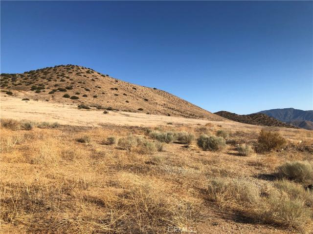 0 Vacant, Acton, California 93510