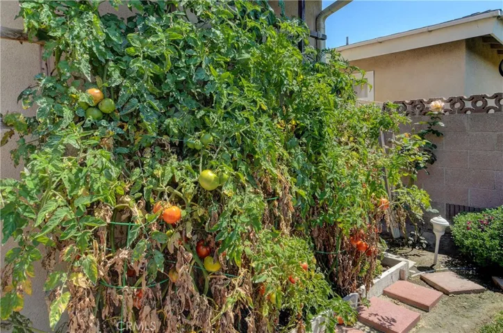 Did we say gardening???? Tomatoes included...at the right price!