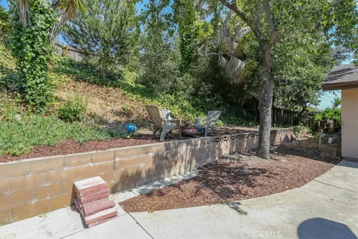 How will you lay out your new backyard?