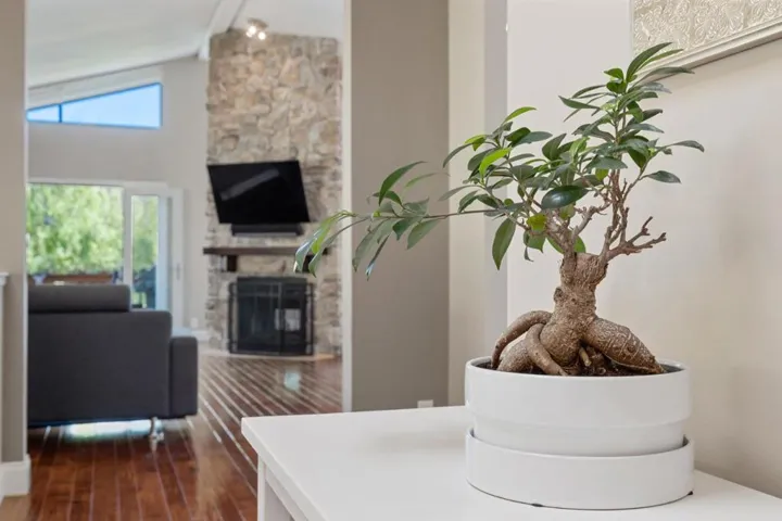 156 Springdale Way, Redwood City, California 94062
