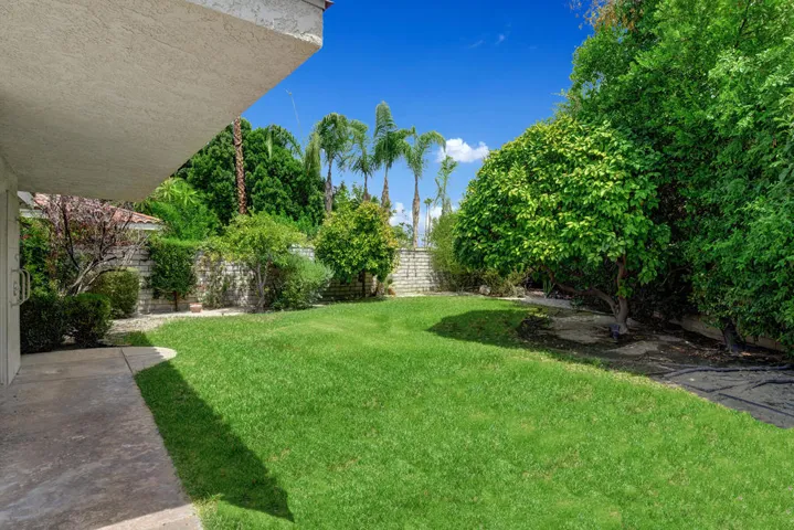 BACK GRASS YARD MLS