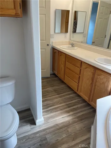 Master Bath - Hidden Toilet