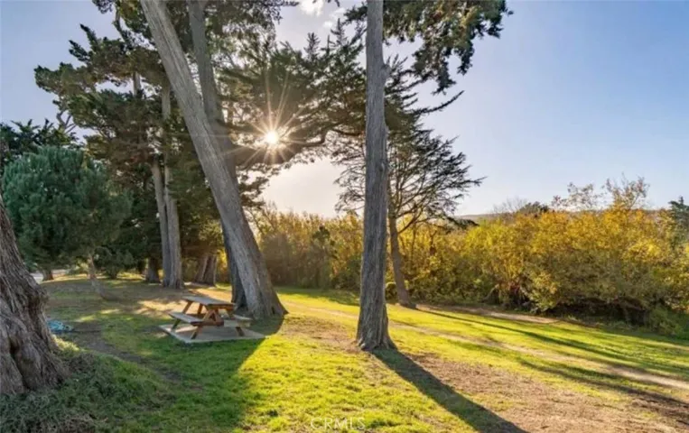 Picnic Area