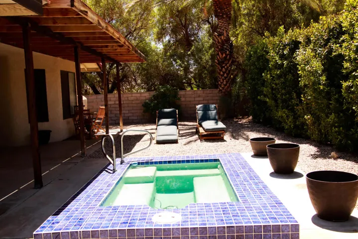 Backyard-6623