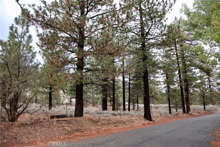 1124 Myrtle Avenue, Big Bear, California 92314
