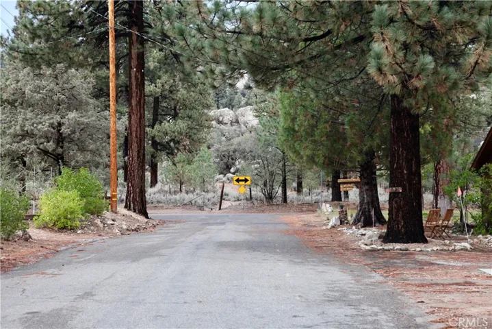 1124 Myrtle Avenue, Big Bear, California 92314
