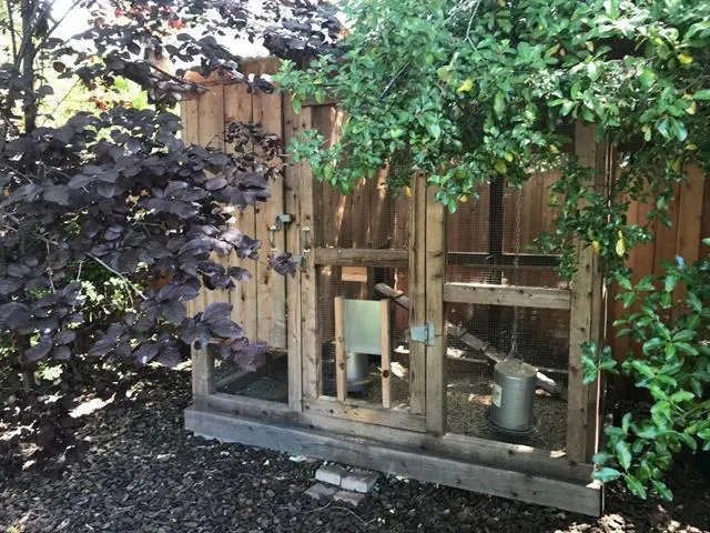 1109 Dayton Avenue, San Carlos, California 94070