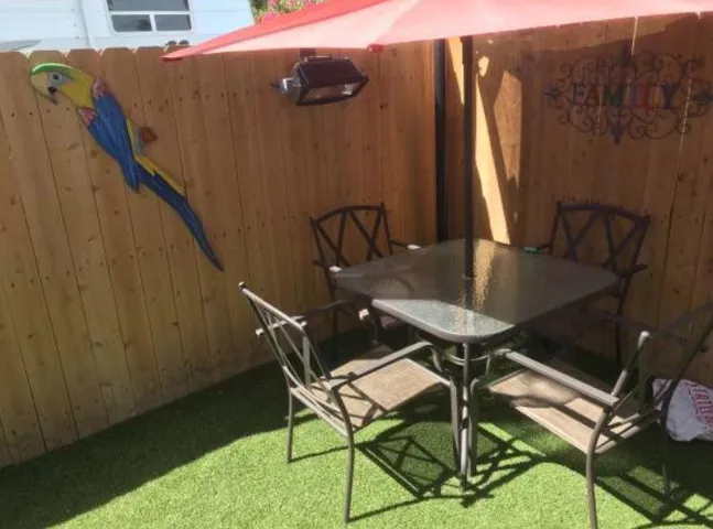 Back yard
