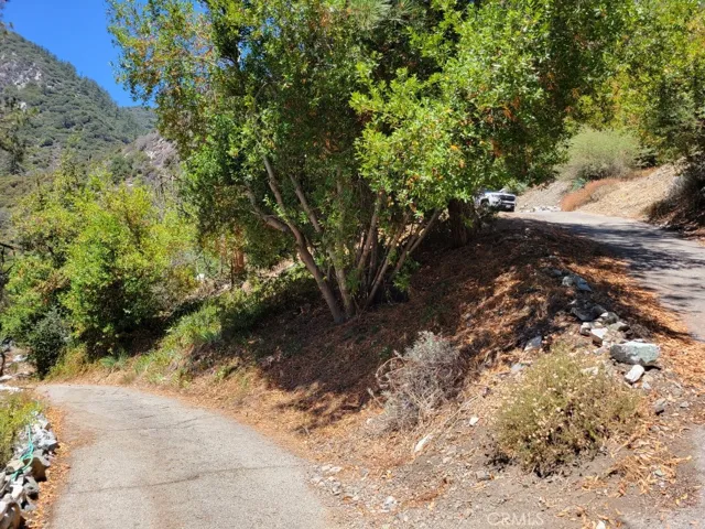 6820 Goat Hill Road, Mt Baldy, California 91759