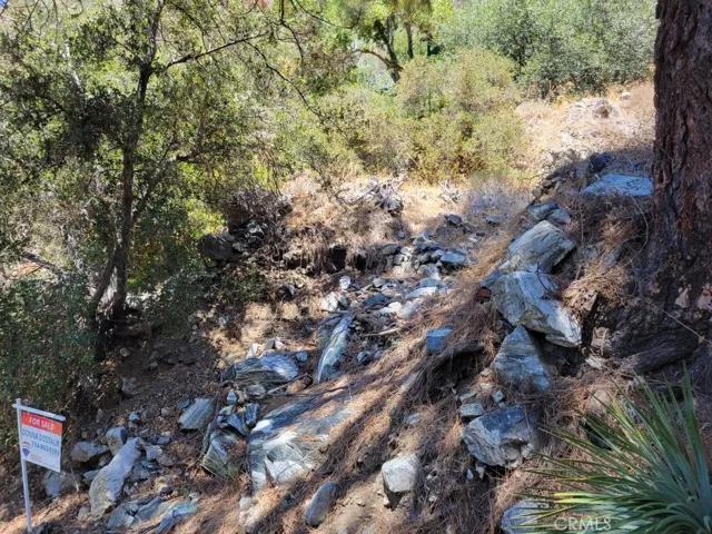 6820 Goat Hill Road, Mt Baldy, California 91759