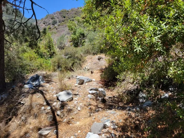 6820 Goat Hill Road, Mt Baldy, California 91759