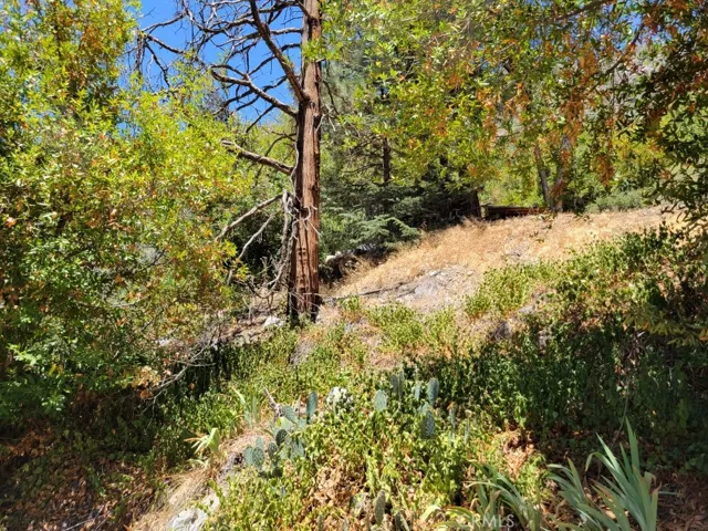 6820 Goat Hill Road, Mt Baldy, California 91759