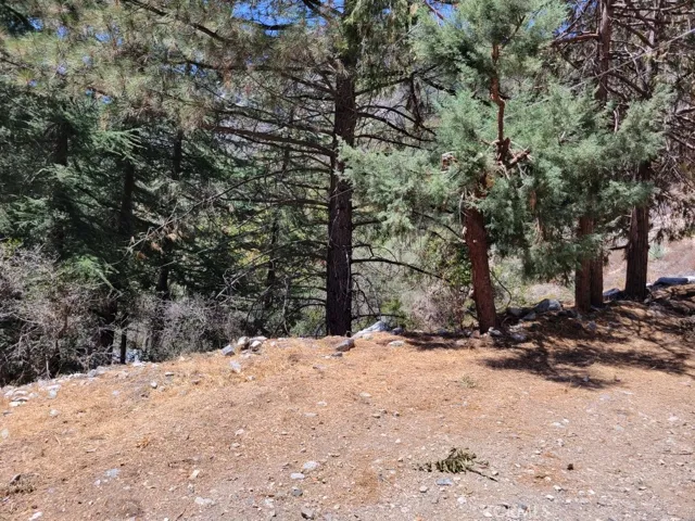 6820 Goat Hill Road, Mt Baldy, California 91759