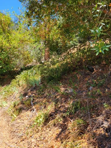 6820 Goat Hill Road, Mt Baldy, California 91759