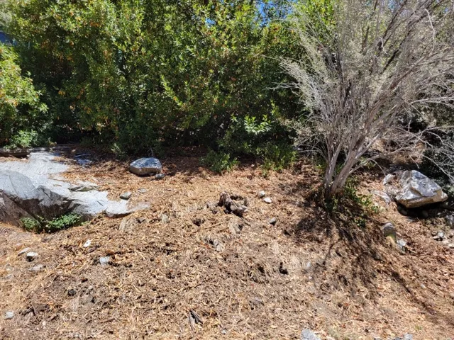 6820 Goat Hill Road, Mt Baldy, California 91759