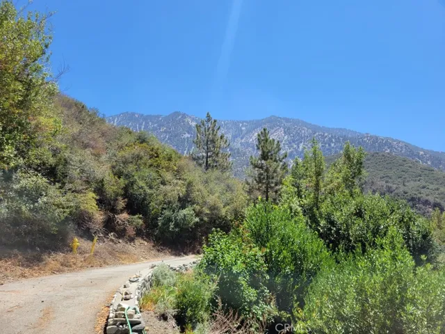 6820 Goat Hill Road, Mt Baldy, California 91759