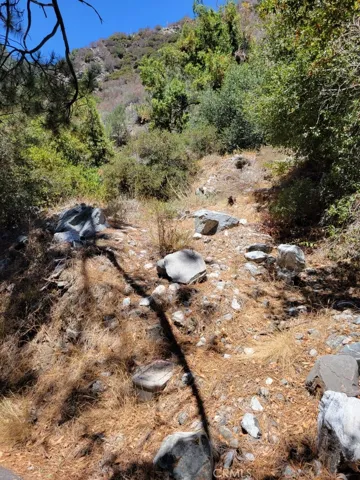 6820 Goat Hill Road, Mt Baldy, California 91759