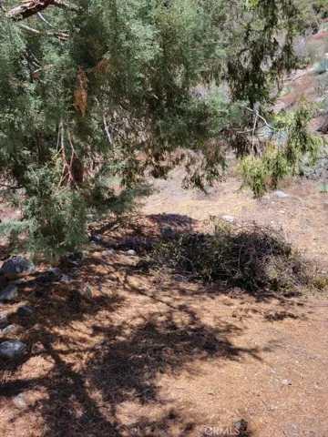 6820 Goat Hill Road, Mt Baldy, California 91759