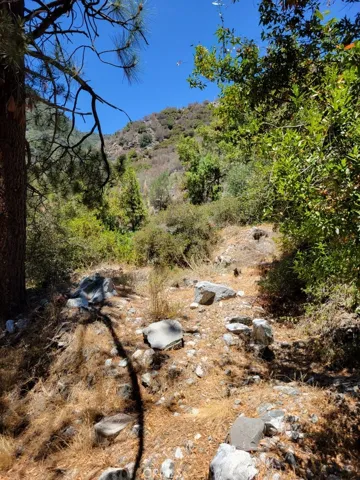 6820 Goat Hill Road, Mt Baldy, California 91759