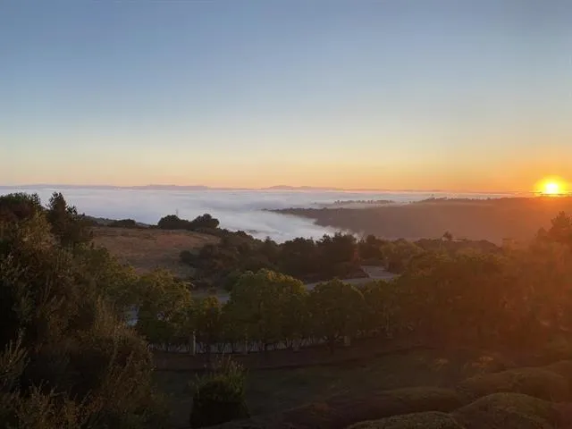 13215 Peacock Court, Cupertino, California 95014