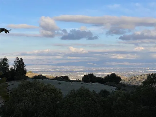 13215 Peacock Court, Cupertino, California 95014