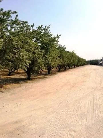 5201 Griffin Road, Hughson, California 95326