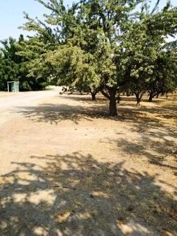 5201 Griffin Road, Hughson, California 95326