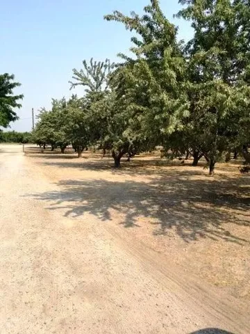 5201 Griffin Road, Hughson, California 95326