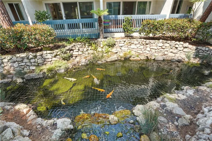 Soothing koi pond right outside the home