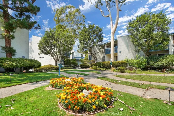Immaculate grounds