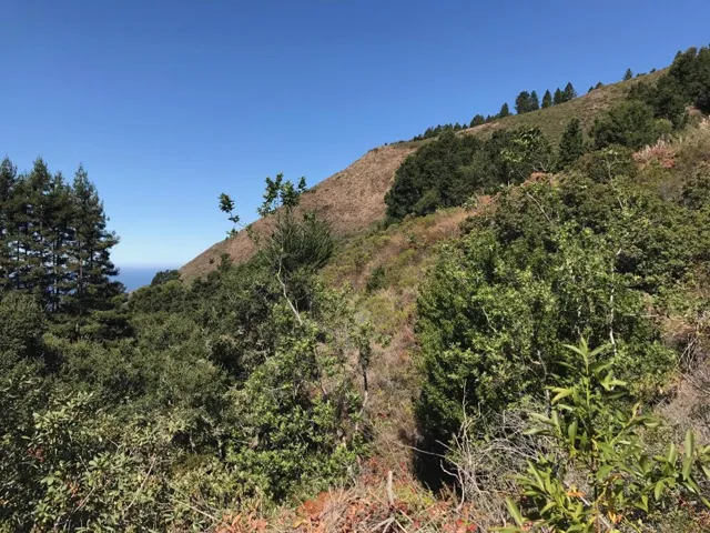 19 Gorda Mountain Road, Big Sur, California 93920