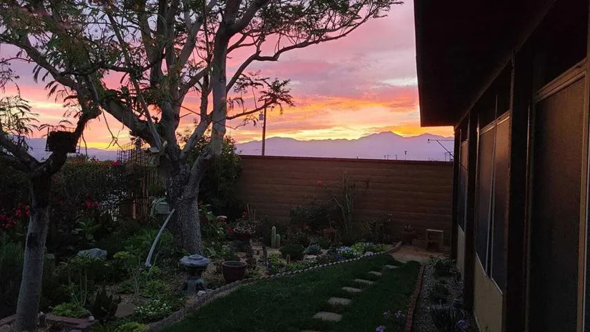 sunset view