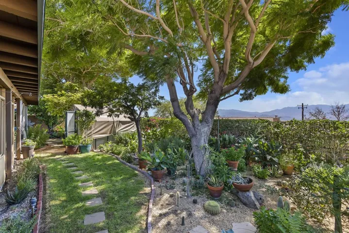 036_Back Yard