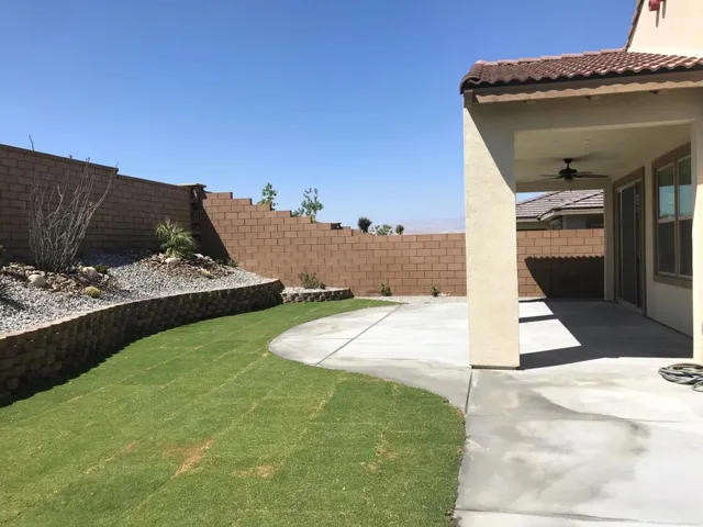 Patio and yard
