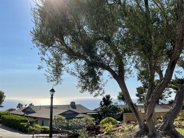 View from front yard