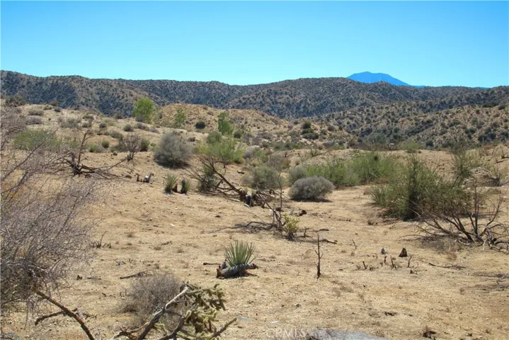 48658 Lyle Road, Morongo Valley, California 92256